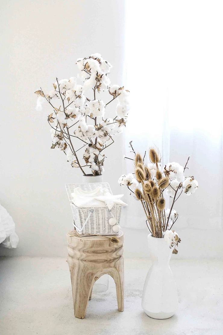 cotton flowers in white vases on neutral setting